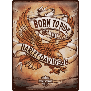 H-D Born to Ride Eagle 30x40
