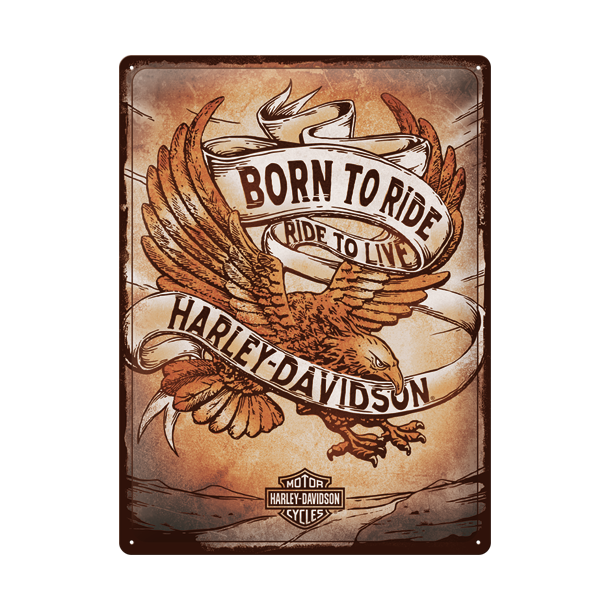 H-D Born to Ride Eagle 30x40