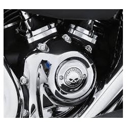 WILLIE G. SKULL - TIMER COVER