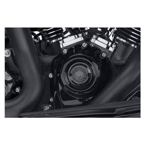 TIMER COVER,WILLIE G SKULL BLACK