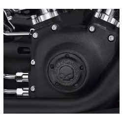 TIMER COVER,WILLIE G SKULL BLACK