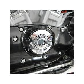 TIMER COVER,WILLIE G SKULL, XL & XR