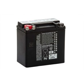 Genuine Battery 66000206A 12AH AGM