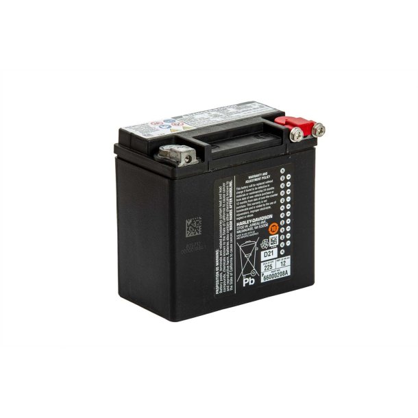 Genuine Battery 66000208B 12AH AGM