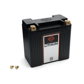 Lithium LiFe 4Ah Battery 66000301