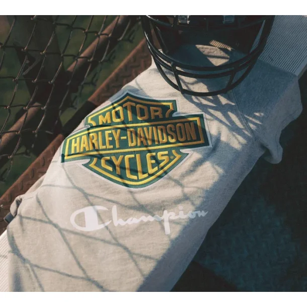 Champion x Harley-Davidson Fanatic Tee - Grey Heather &amp; Dark Green