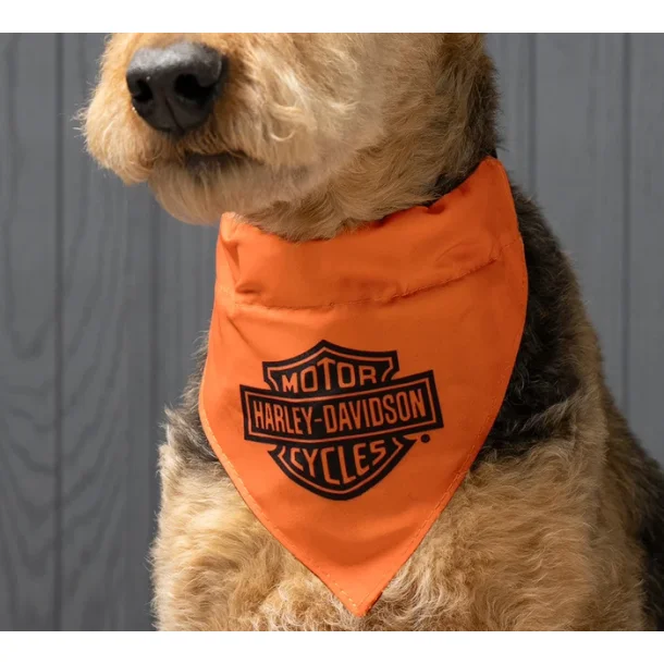 H-D ORANGE B&S PET BANDANA -SM/MED