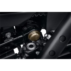 RIGHT HAND PIVOT BOLT COVER, KIT, SPORTSTER