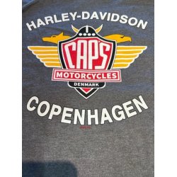 Hoodie Grey Elongated B&S