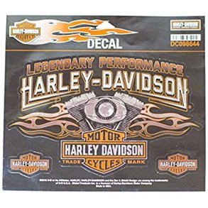 Harley Davidson Engine Flames