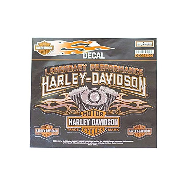 Harley Davidson Engine Flames