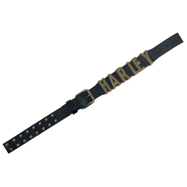Women's Gold Digger Willie G Genuine Leather Belt 