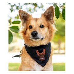 B&S Eagle Pet Bandana - S/M