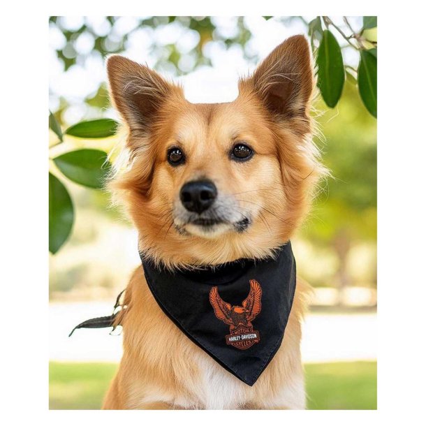 B&S Eagle Pet Bandana - S/M