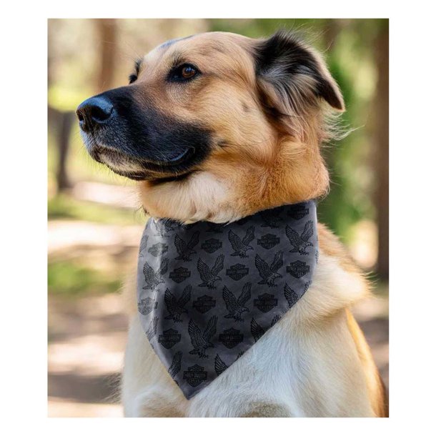  Repeat Bar &amp; Shield Pet Bandana - S/M