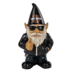 Biker Gnome Ace