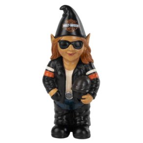 Biker Gnome Sunny