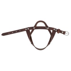 H-D Genuine Leather Dog Harness, Embossed H-D Logo