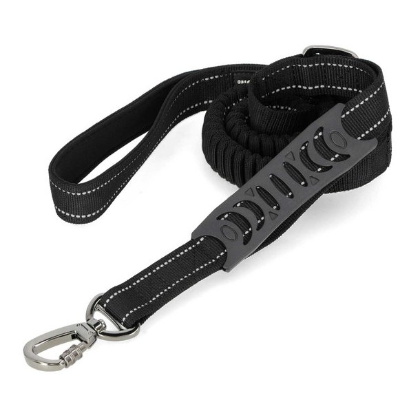 H-D Flex Dog Leash, Nylon Strap &amp; Rubber Grip Handle