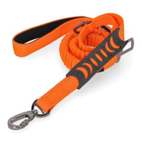 H-D Flex Dog Leash, Nylon Strap & Rubber Grip Handle