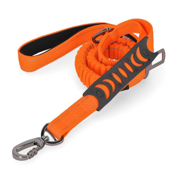 H-D Flex Dog Leash, Nylon Strap &amp; Rubber Grip Handle