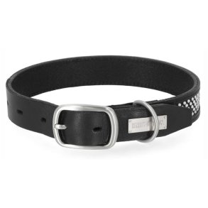 H-D Embellished Leather Dog Collar