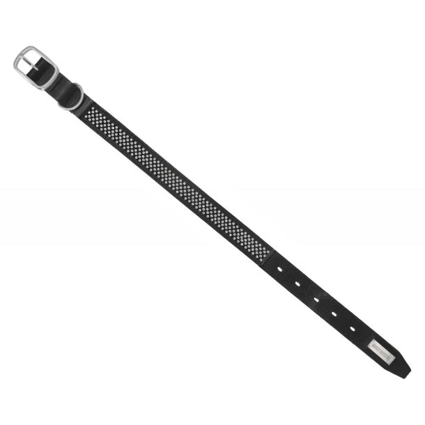 H-D Embellished Leather Dog Collar