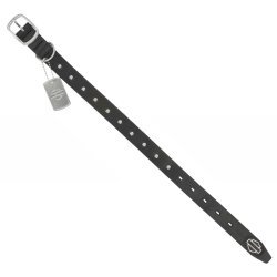 H-D Cone Stud Leather Dog Collar