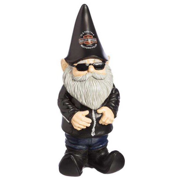 **MR. GARDEN GNOME