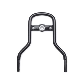 KIT-UPRITE,SISSYBAR,BLK,FXDF/W