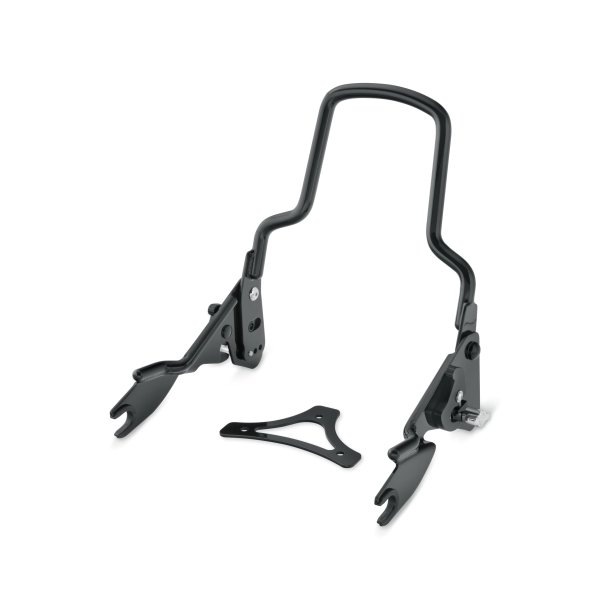 DETACH BACKREST W/ ADJ RECLINE