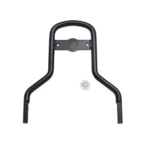 CUSTOM MEDIUM LOW SISSY BAR,GL