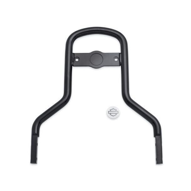 CUSTOM MEDIUM LOW SISSY BAR,GL